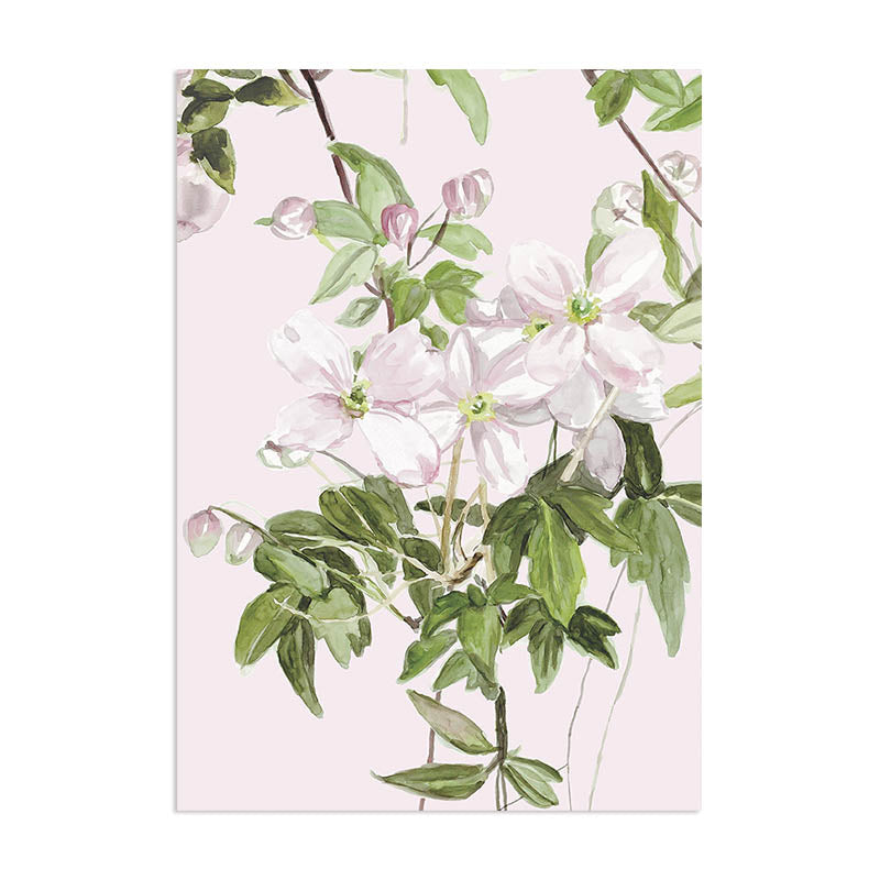 Clematis Mural Wallpaper Samples – Sian Zeng