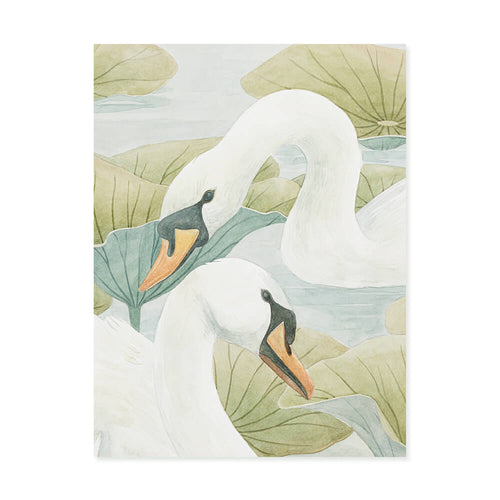 Wallpaper Swan couple lake cute animals love Animals 4510